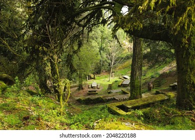 Waldpicknickzone im Aloia-Berg von Galicien