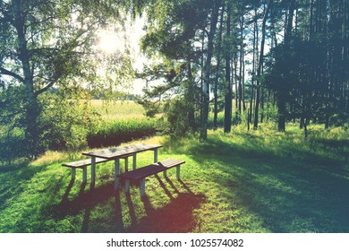 forest with picnic table and benches
