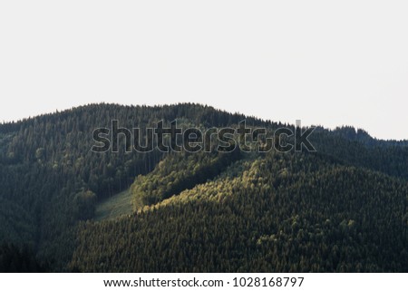 Similar – Foto Bild Coniferous forest in the alps