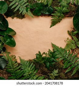 Forest plants, moss and tree bark on craft paper background with blank space for text. Natural or ecology concept.Top view, flat lay. - Powered by Shutterstock