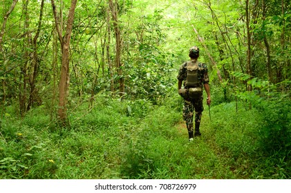 Forest Ranger Into The Jungle Evergreen Forest