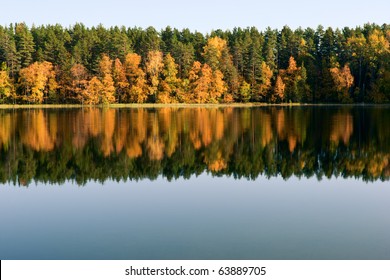 Forest reflected in a pond natural background