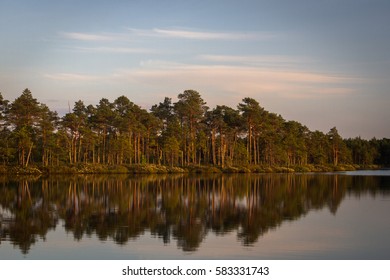 Forest reflection in the lake