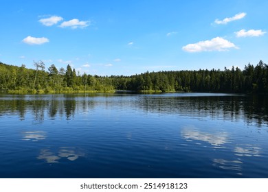 forest reflection in lake background no person - Powered by Shutterstock