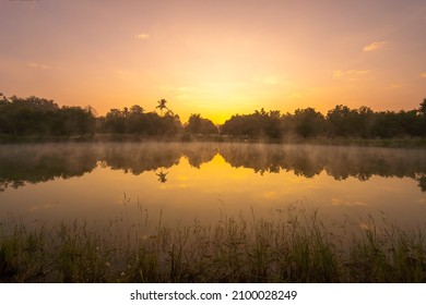 Forest reflection and mist fog on the water surface at sunrise in morning. Golden hour, Idyllic landscape and relax time concept