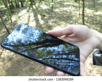 Forest reflection in the mobile phone screen
