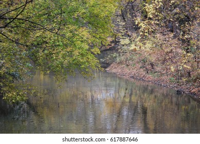 Forest river