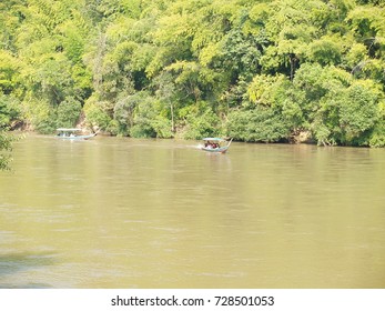 Forest  and river