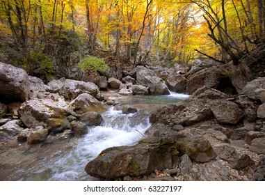 the forest river is an autumn