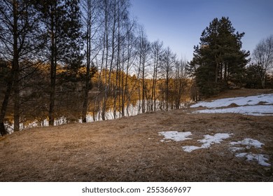 Forest with a river in the background. The trees are bare and the sky is blue