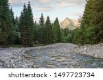 Forest river Bela with small round stones and coniferous trees on both sides, afternoon sun shines to mount Krivan peak - Slovak symbol - in distance