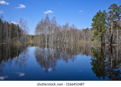 Forest river in early May. Spring river landscape in the national park of central Russia.