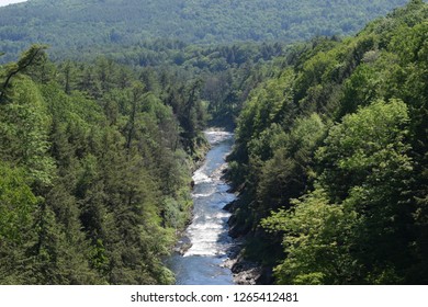 Forest River Flows 