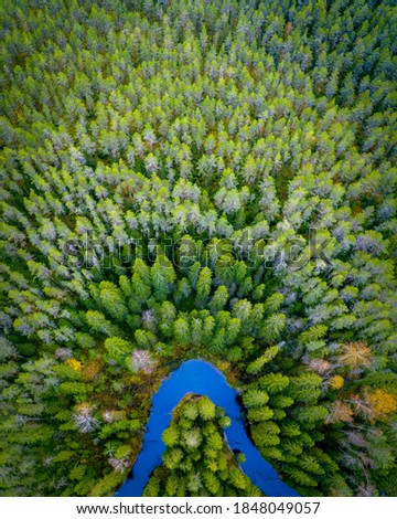 Forest and river from a height. Natural landscape from a bird eye view. Autumn forest with a quadrocopter. Beautiful nature. River and forest background texture.
