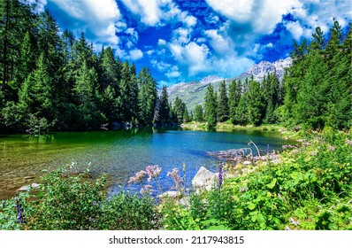 Forest River In Mountains Landscape