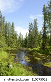 Forest River. Northern Finland