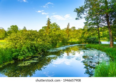 Forest river on summer landscape - Shutterstock ID 1946657908