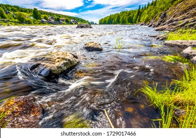 Forest River Rapids Flow Landscape