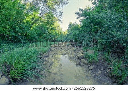 Forest river with a rocky bottom in spring, fish-eye lens image