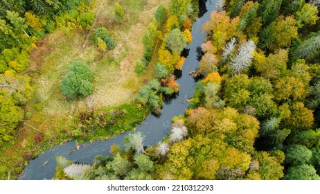 Forest And River At Sunset In Autumn. Aerial View Of Wildlife In Latvia, Europe