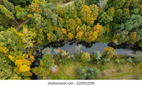 Forest And River At Sunset In Autumn. Aerial View Of Wildlife In Latvia, Europe