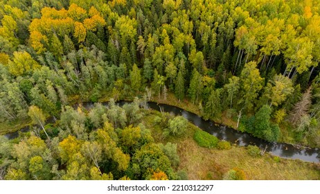 Forest And River At Sunset In Autumn. Aerial View Of Wildlife In Latvia, Europe