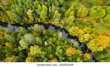 Forest And River At Sunset In Autumn. Aerial View Of Wildlife In Latvia, Europe