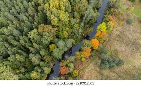 Forest And River At Sunset In Autumn. Aerial View Of Wildlife In Latvia, Europe