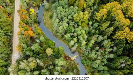 Forest And River At Sunset In Autumn. Aerial View Of Wildlife In Latvia, Europe