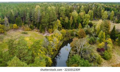 Forest And River At Sunset In Autumn. Aerial View Of Wildlife In Latvia, Europe