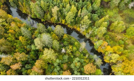 Forest And River At Sunset In Autumn. Aerial View Of Wildlife In Latvia, Europe