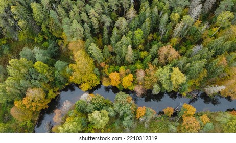 Forest And River At Sunset In Autumn. Aerial View Of Wildlife In Latvia, Europe