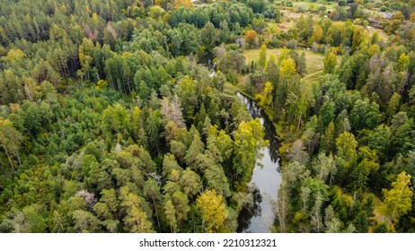 Forest And River At Sunset In Autumn. Aerial View Of Wildlife In Latvia, Europe