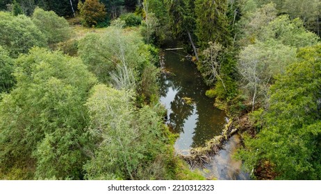 Forest And River At Sunset In Autumn. Aerial View Of Wildlife In Latvia, Europe