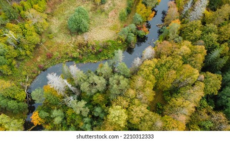 Forest And River At Sunset In Autumn. Aerial View Of Wildlife In Latvia, Europe