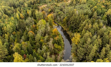 Forest And River At Sunset In Autumn. Aerial View Of Wildlife In Latvia, Europe