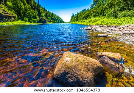 Forest river water flow landscape