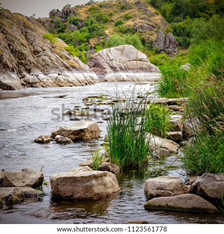 Forest river water scene. River mountain rapid flow of water. Reed rocks stones.