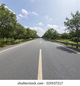 Forest road