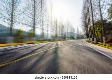 Forest road