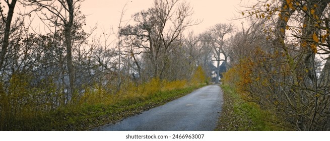 Forest, road and environment in autumn morning for conservation, sustainability or biodiversity. Empty, Scenic landscape and trees with dirt path for foliage, exploration or evergreen in nature - Powered by Shutterstock