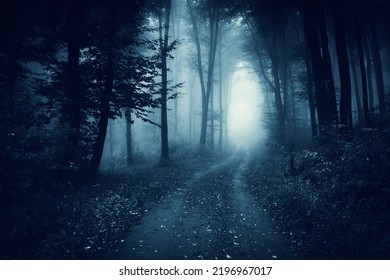 forest road in fog, dark fantasy landscape - Shutterstock ID 2196967017