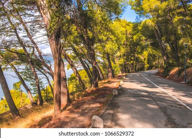 Forest Road, Hiking Trails To Marjan Hill In Split, Croatia.