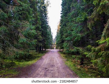 Forest road into the thick of the forest. Larch tree forest road. Road to larch tree forest. Autumn forest road - Shutterstock ID 2182484857