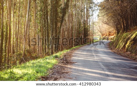 Similar – Image, Stock Photo Forest road landscape with couple riding motorbike