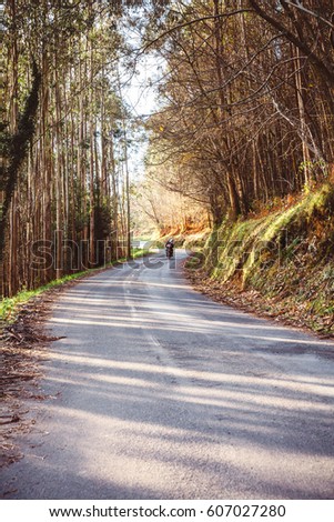 Image, Stock Photo Forest road landscape with couple riding motorbike