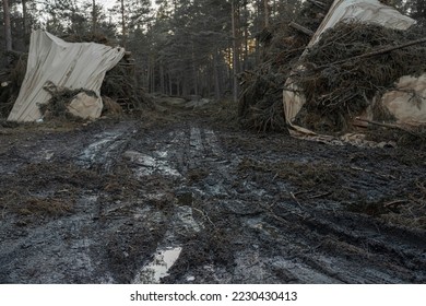 Forest road made of mud and clay, off-road. Harvested forest under cover. Tire tracks on the ground. - Shutterstock ID 2230430413