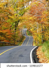 Forest Road, New England