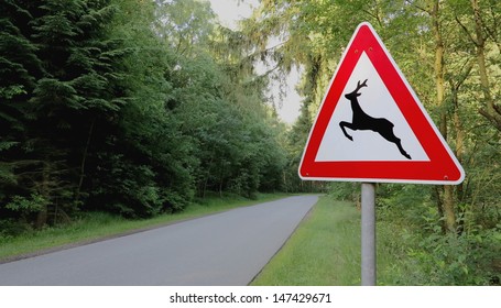 Forest And Road Signs At Roadside 