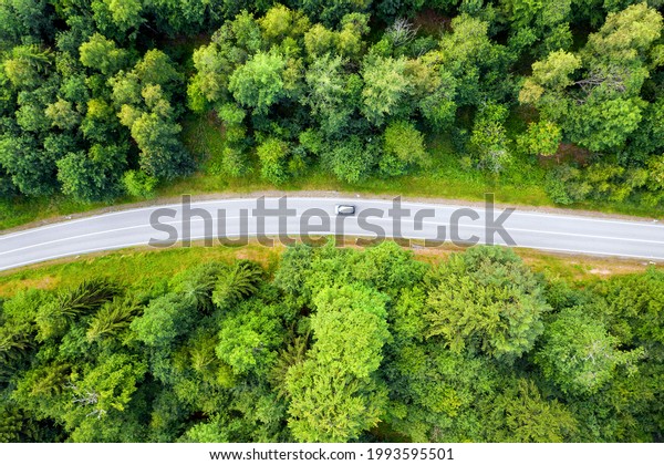 a forest road\
with a single car from above